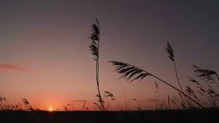 Winds of Solitude: Calm and Relaxing Sad Music for Reflection & Peace