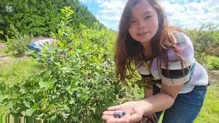 picking muna