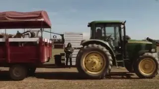 Ramseyer Farms 2016