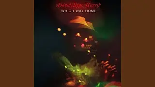 Which Way Home (Original Mix)