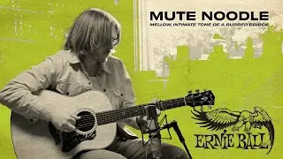 Ernie Ball: Mute Noodles Demo Acoustic Pick