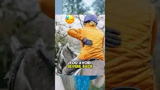 Как избежать болей в спине, занимаясь верховой ездой 😓🐴 #советыдлянаездников #неудачивнаездниках ...