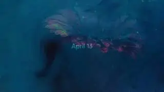 Ram Dass - April 13 [Official Lyric Video]