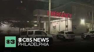 PASNAP president calls for increase in security outside emergency rooms after hospital hit-and-run