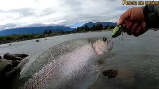 Pesca en aysen, la liberaci&oacute;n del  kraken ,el se&ntilde;uelo m&aacute;s letal y &uacute;nico  del mundo.