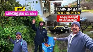 പഴങ്ങളുടെ ലോകം Warburton ഇവിടെ ഒരു കേരള ഹോട്ടൽ ഉണ്ട്