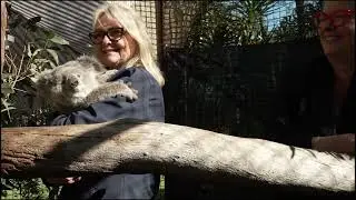 New national park to protect Sydney&rsquo;s largest koala population -Minister visit with Koala-NSW Gov