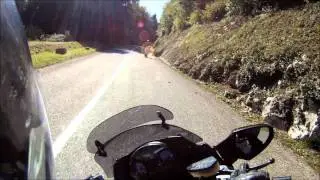Jura bis auf den Chasseral mit Kawasaki 1400 GTR am 02.10.2011