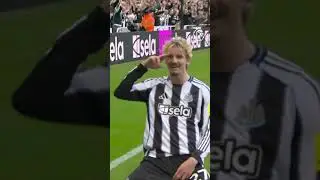 Nick Woltemade's SPECIAL Newcastle debut 👊
