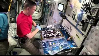 Minute of Silence Aboard Space Station for Paris Terrorist Victims