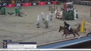 Gudrun Patteet & Sea coast Qarvaljo d’or, 1.45m GP CSI2* Opglabbeek 2025