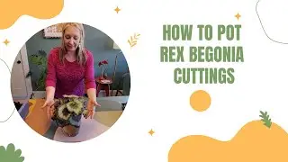 How to Pot Rex Begonia Cuttings | #greenthumb #creativegarden