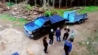 YNC Shake it to the max