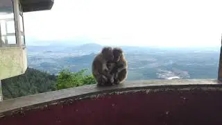Photo Slideshows of Yercaud Lady's Seat Viewpoint | #ladysseatviewpoint #yercaudhills #mountains