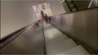 OTIS Escalators @ Macy*s - Roosevelt Field Mall - Garden City, NY