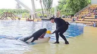 Keto & Dani 🥰 Loro Parque, OrcaOcean, 09.05.2024