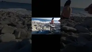 Владивосток бухта соболь море морж плавание