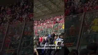 Tifoso del benfica cade