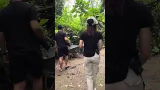 #bali #animals #zoo #movie #travel #photographerbali #video #tiktok #shorts #short #drone #omg #wow