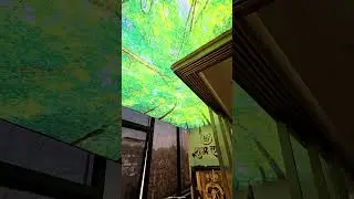 Stretch Ceiling shorts