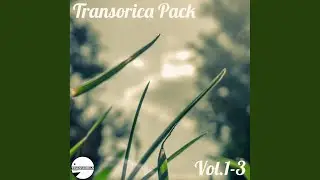 Arctic Sun (Original Mix)