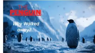 Why This Penguin Walked Away From Life | Dark Psychology Explained