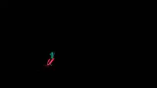 Heli Nachtflug Show , Pilot Robert Sixt , absolute Spitze !! Heli Night Flight Show with LED Blades