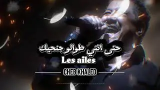 Cheb Khaled - Les ailes  حتى انتي طوالو جنحيك