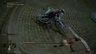 Bloodhound Knight Darriwil (Bluthundritter Darriwil) VS Wretch Level 1 (Bettler) [No DMG Tactic]