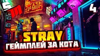 КОТУ НУЖНА ПОМОЩЬ? ► Stray #4