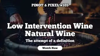 Pinot & Pixel #105 🌱Low intervention wine 🇩🇰Mathias Winter Petersen 💁&zwj;♂️definition of 🍷natural wine