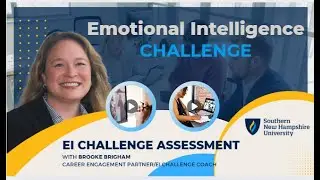 Emotional Intelligence Challenge, Self-Assessment