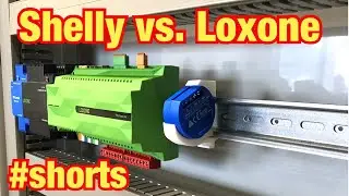 Shelly vs. Loxone ?!? Proofwood #Shorts