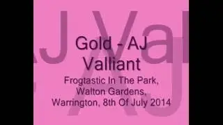 Gold -  Performed By AJ Valliant - Heroes Project Salford