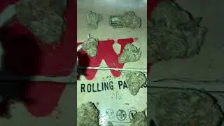 | KASA VERDE | WHITE COOKIES | 💯 NON IRRADIATED 💯 UK MEDICAL CANNABIS PATIENT FLOWER VIDEO 2025 🔥🔥🔥🔥