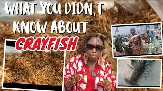 What you didn't know about crayfish. #food #ingredient #preparation #seafoods #aishizzleflames