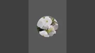 bittu homecreations is live