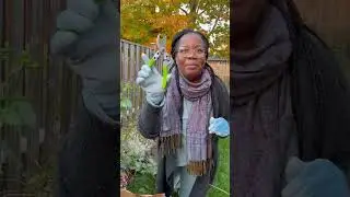 Cleaning up my Garden Fall 2022🍂👨🏾&zwj;🍳👩🏽&zwj;🌾