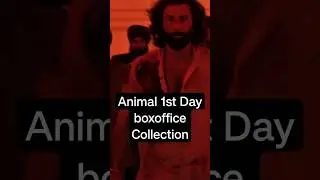 Animal Movie 1st Day Total Box-office Collection | #update #shorts #movie