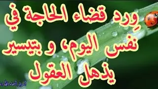 ورد قضاء الحاجة في نفس اليوم و بتيسير يذهل العقول @على_خطى_العارفين_بالله