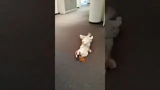 Feelgoodmanager