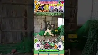 【78日目】毎日野球の練習 いつまで続けられるか検証してみた【2周目】  #baseball #野球 #練習 #永遠チャレンジ #エンジョイベースボール #everyday