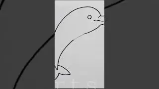 drawing a dolphin 🐬