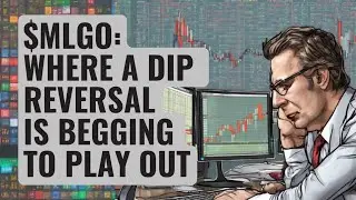 $MLGO: Buy This Dip If You Are Brave. Why Is MicroAlgo Stock So Volatile?
