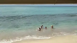 Serenade of the Seas, Basseterre St. Kitts Shipwreck Beach Bar Walkthrough. Monkeys & Snorkeling