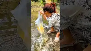 recycled water wrap useful survival tips #shortvideo #survival