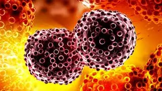 Qu&eacute; es el Estr&eacute;s Oxidativo GNM X ACTIVZ