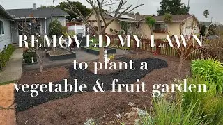Planting a FRONT YARD vegetable and fruit garden.