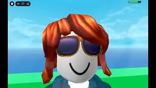 roblox natural disaster survival