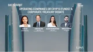 Operating Companies or Crypto Funds? A Corporate Treasury Debate | Alessia Baumgartner, DWF Labs